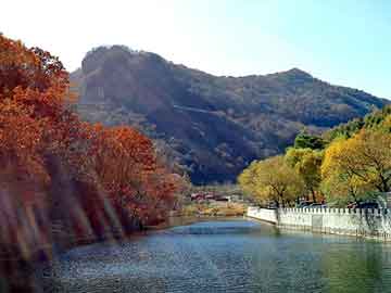 正新澳门二四六天天彩，氢氧化钾价格